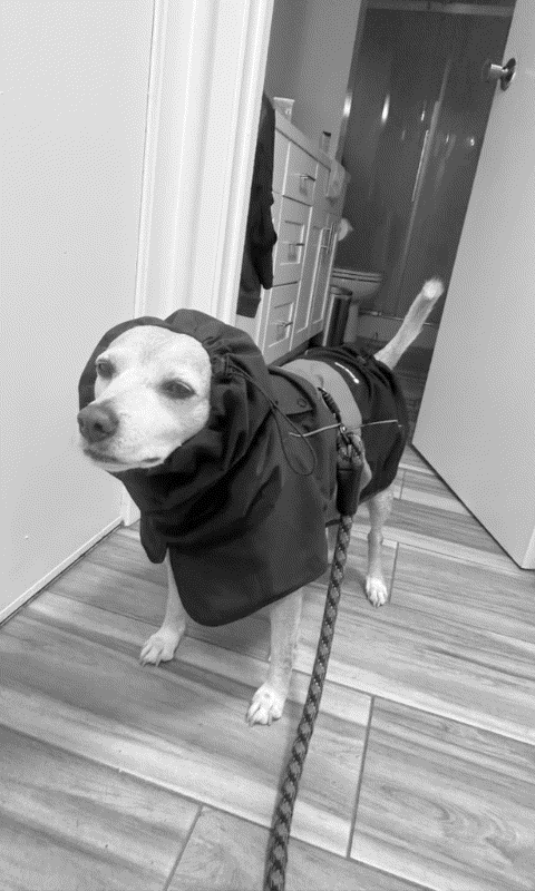 Rain jacket